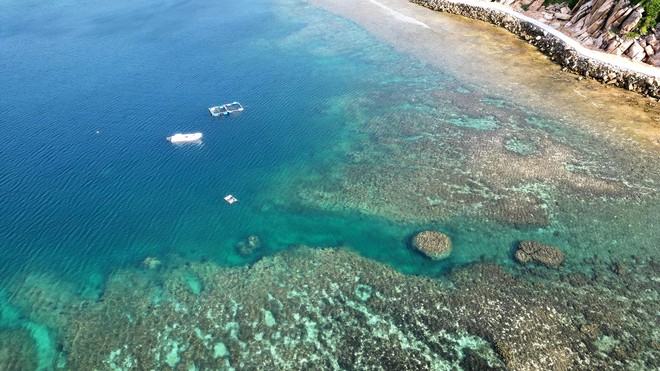 Phát hiện bãi biển hoang sơ gần Nha Trang, được ví như "nàng tiên ngủ quên", nhiều người chưa hề nghe tên- Ảnh 4.