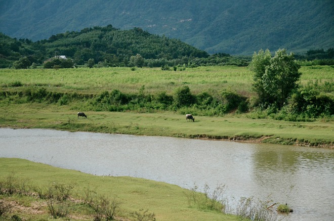 Nơi được ví như "Đà Lạt thu nhỏ", cách thành phố Huế khoảng 70km, nhiều người bất ngờ vì chưa hề nghe tên- Ảnh 6.