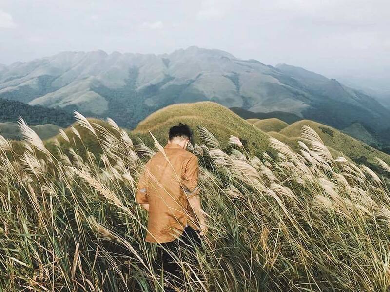 ‘‘Thiên đường hạ giới’’ cách Hà Nội 260km đang hút biển người đến check-in: Du khách leo đồi, dậy từ 3h sáng để ngắm cảnh đẹp mỗi năm một lần- Ảnh 5.