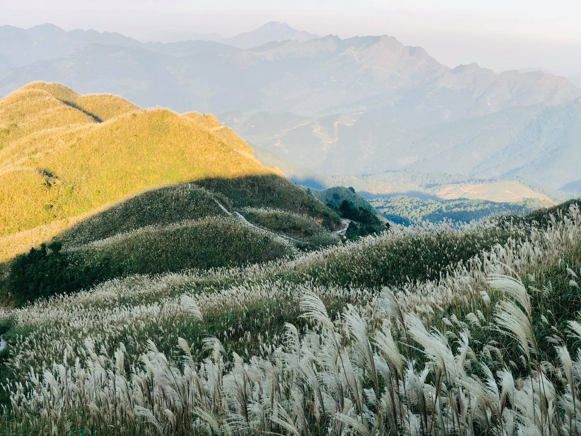 ‘‘Thiên đường hạ giới’’ cách Hà Nội 260km đang hút biển người đến check-in: Du khách leo đồi, dậy từ 3h sáng để ngắm cảnh đẹp mỗi năm một lần- Ảnh 9.