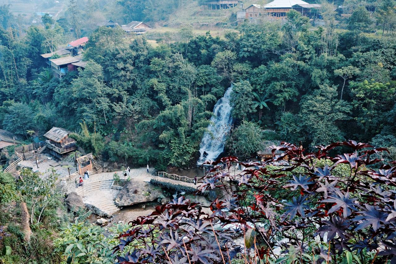 Sa Pa mùa này đầy mới mẻ: Lạc bước ở Bản Mây, đắm chìm trong vườn sen đá khổng lồ và vẻ đẹp "vô thực" của thiên nhiên- Ảnh 3.